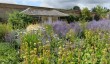 holkham-hall-garden-in-norfolk.jpg