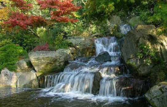 The Japanes Garden at Holland Park