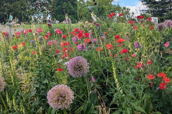 Horniman Museum Gardens