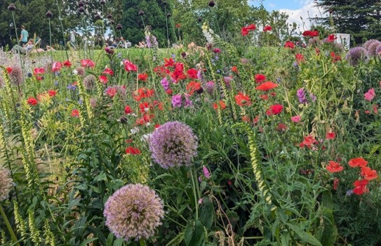 Horniman Museum Gardens Horniman Museum Gardens