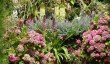 houghton-hall-gardens-norfolk.jpg
