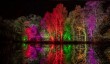 illuminated-garden-rosemoor.jpg