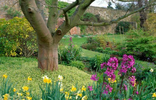 Inveresk Lodge Garden