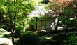 japanese-gardens-wengland.jpg