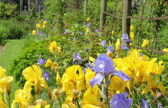 Kentchurch Court Garden - Great British Gardens