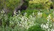 kingston-bagpuise-garden-border.jpg