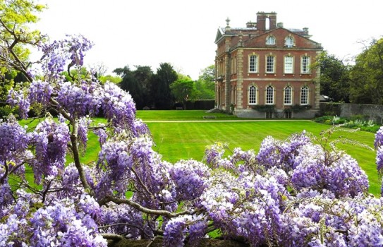 Kingston Bagpuize House Garden
