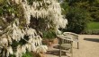 kingston-bagpuize-garden.jpg
