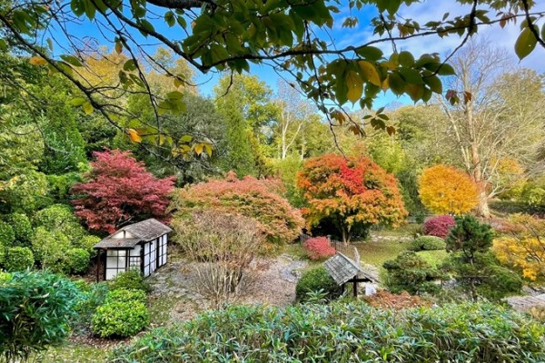 Kingston Lacy Japanese Gardens