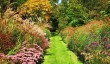 knoll-garden-wimborne.jpg