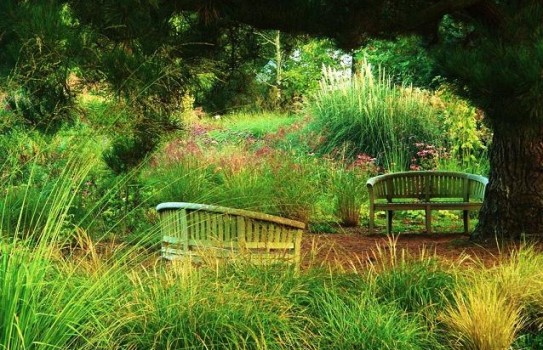 Knoll Gardens Knoll Gardens