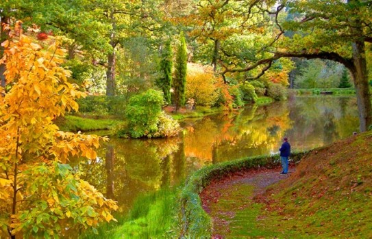 Leonardslee Gardens Autumn Sussex