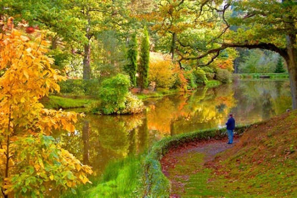 Leonardslee Gardens Autumn Sussex