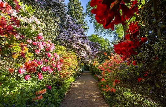 Leonardslee Gardens near Horsham - Great British Gardens