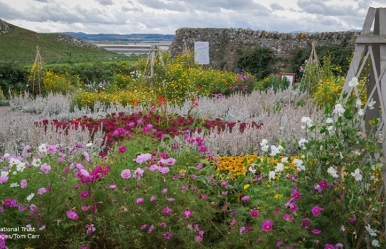 Lindisfarne Gertrude Jekyll Garden Lindisfarne Gertrude Jekyll Garden