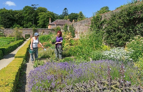  Llanerchaeron Garden