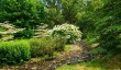 llanover-gardens-stream.jpg