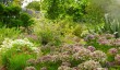 llanover-house-garden.jpg