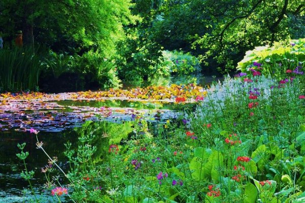 Longstock Water Gardens
