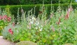 loseley-guildford.jpg