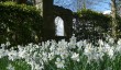 mannington-hall-garden.jpg