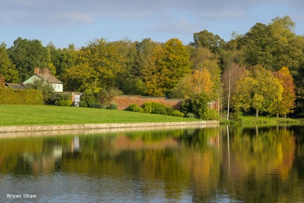 Markshall Arboretum
