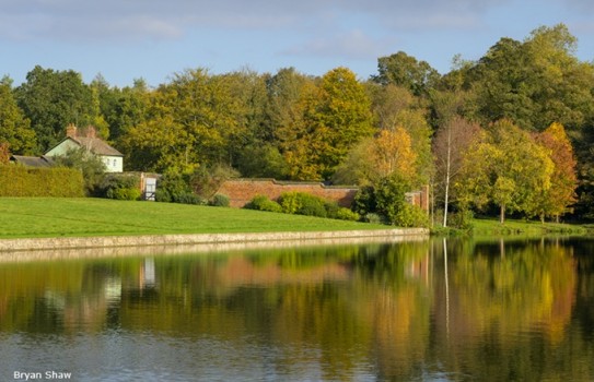 Markshall Arboretum