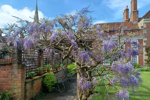 Mompesson House Garden - Salisbury