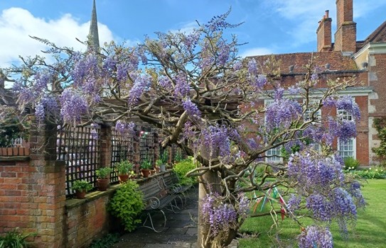 Mompesson House Garden - Salisbury Mompesson House Garden - Salisbury