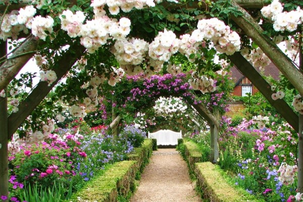Mottisfont Abbey Rose Gardens