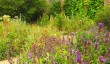 myddelton-house-garden.jpg