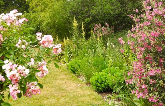 Myddeolton House Garden Myddeolton House Garden