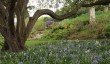 ness-botanic-gardens-spring.jpg