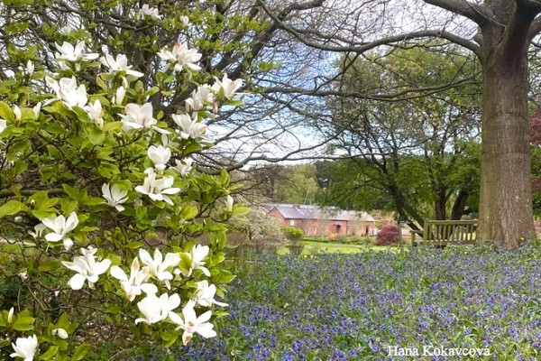 Ness Botanic Gardens