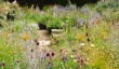 newby-hall-garden-yorkshire.jpg