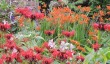 newby-hall-garden.jpg