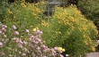 norton-priory-gardens.jpg