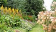 nunnington-hall-gardens.jpg