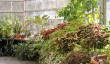 oxford-botanic-garden-glasshouse.jpg