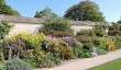 oxford-botanic-garden-herbaceous.jpg
