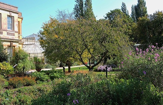 Oxford University Botanic Garden