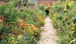 packwood-house-garden-in-warwickshire.jpg
