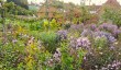 packwood-house-garden-warwickshire.jpg