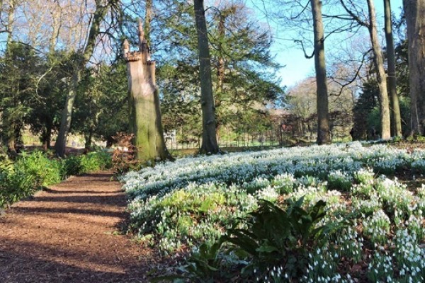 Painswick Rococo Garden Snowdrops