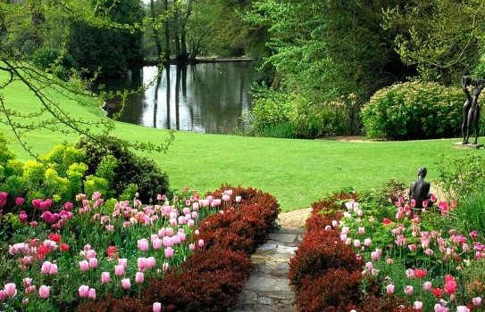 Pretty pink tulips leading you down to the lake at Pashley Manor Gardens