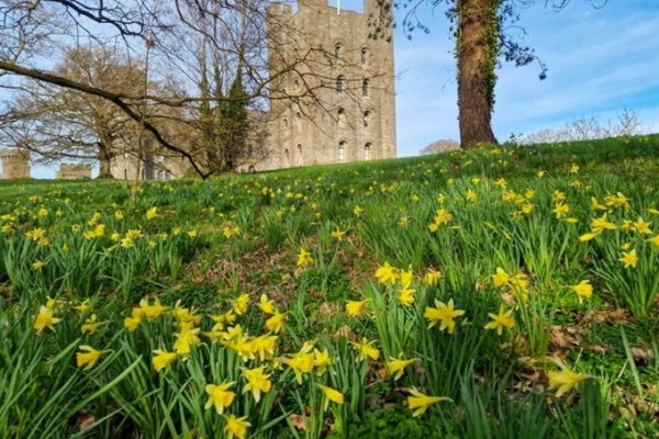 Penrhyn Castle Gardens, a National Trust property in Wales