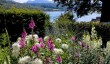 plas-newydd-garden.jpg