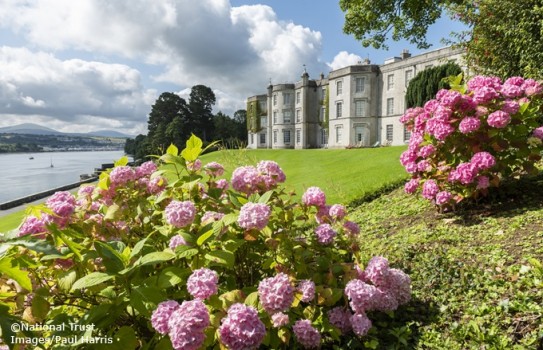 Plas Newydd Garden Plas Newydd Garden