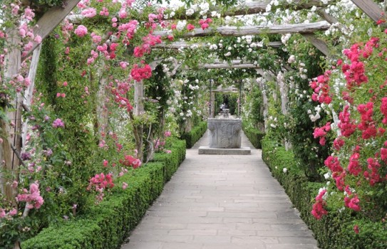 Polesden Lacey Gardens