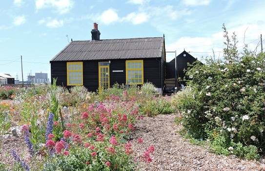 Prospect Cottage Garden Dungeness